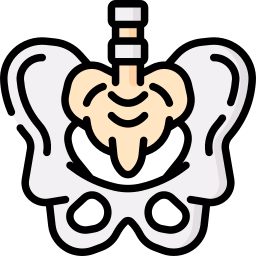 Pelvis icon