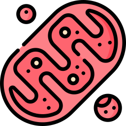 mitochondrien icon