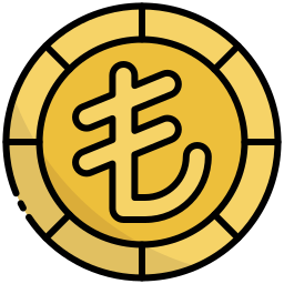 Lira icon