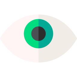 Eye icon