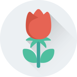 rote rose icon