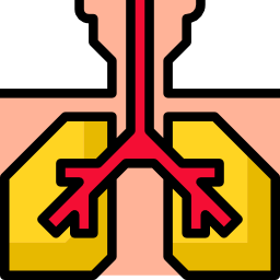 Lungs icon