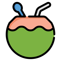 Coconut drink icon