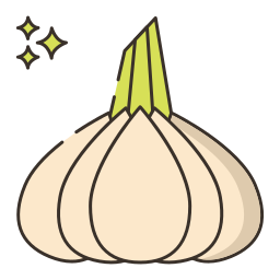 Garlic icon