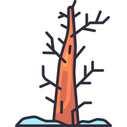 Tree icon