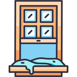 Window icon