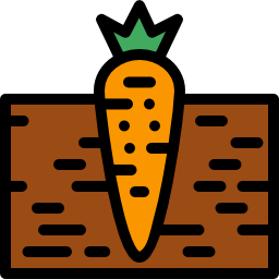 Carrot icon