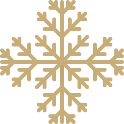 schneeflocke icon