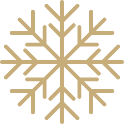 schneeflocke icon