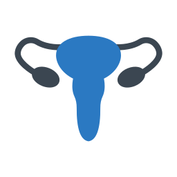 Uterus icon