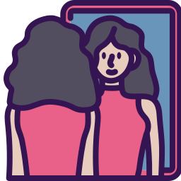 Mirror icon