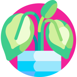 Calathea icon