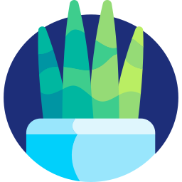 Sansevieria icon