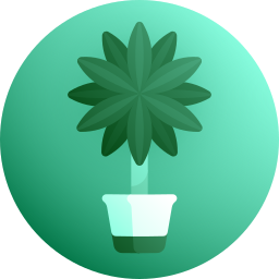 dracaena icon