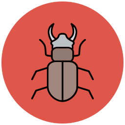 Beetle icon