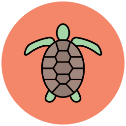 Turtle icon