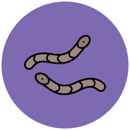 Worm icon