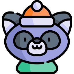 raccoon icon