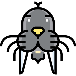 Walrus icon