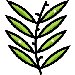 Herb icon