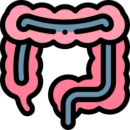 Colonoscopy icon