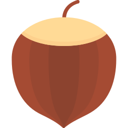 Hazelnut icon