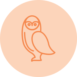 Owl icon