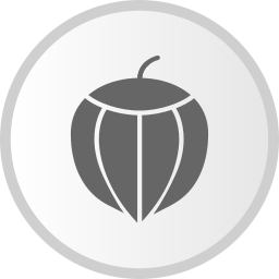 Hazelnut icon