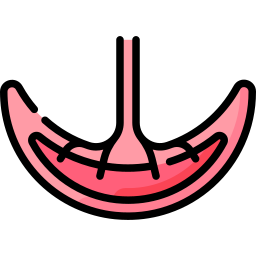 Placenta icon