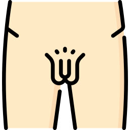 genitalien icon