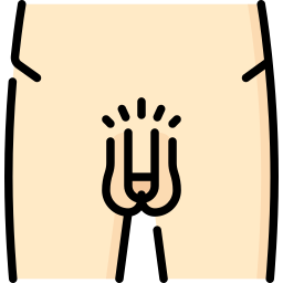 Genitalia icon