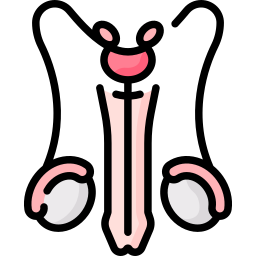 Reproductive system icon