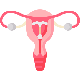 Uterus icon