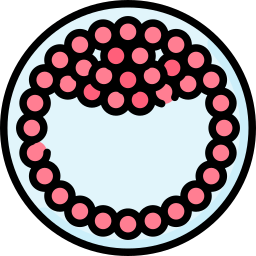 Zygote icon