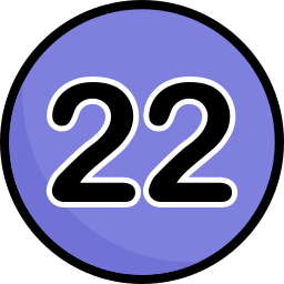 Twenty two icon