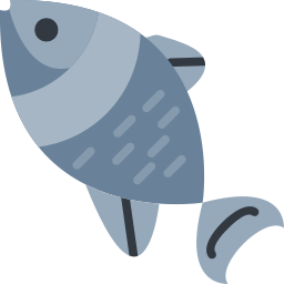 Salmon icon