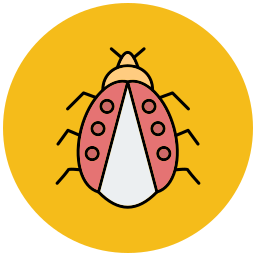 Ladybug icon