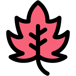 Leaf icon