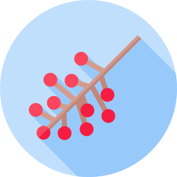 Red berries icon