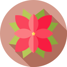 Poinsettia icon