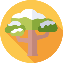 Tree icon