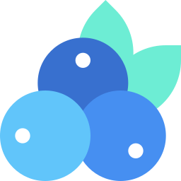 Blueberries icon