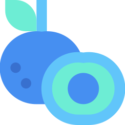 Longan icon