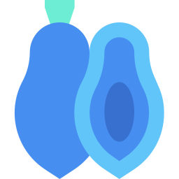 Papaya icon