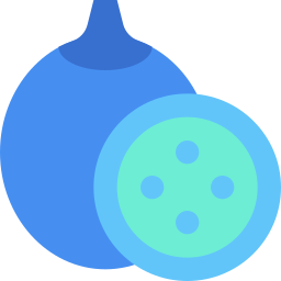 Passion fruit icon