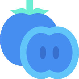 Persimmon icon