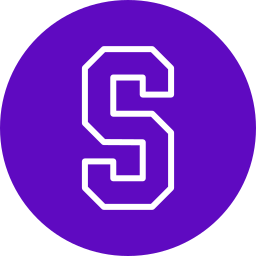 Letter s icon