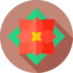 Poinsettia icon