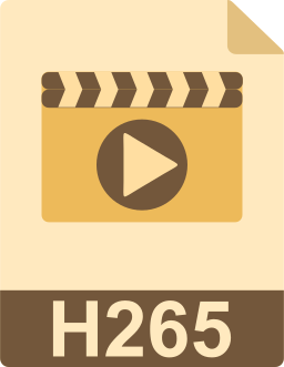 h265 icon