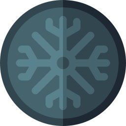 vegvisir icoon